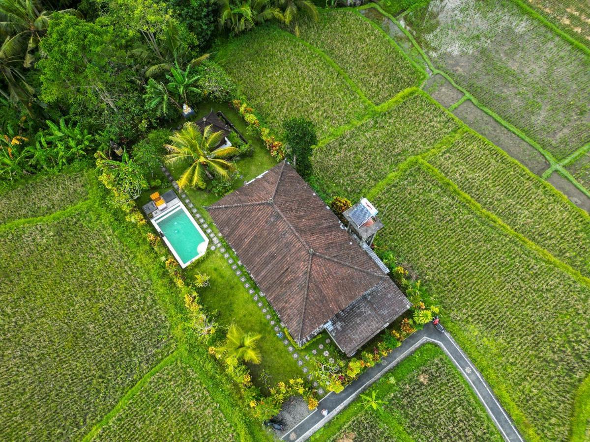 Buddha Homestay Ubud Exterior foto