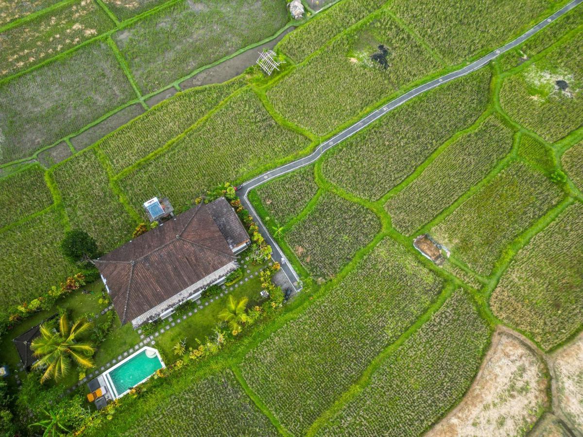 Buddha Homestay Ubud Exterior foto