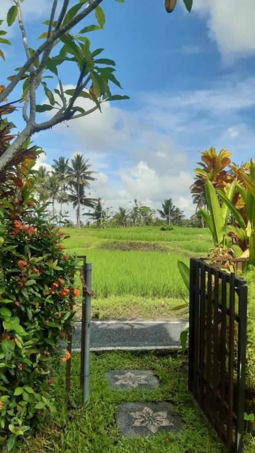 Buddha Homestay Ubud Exterior foto